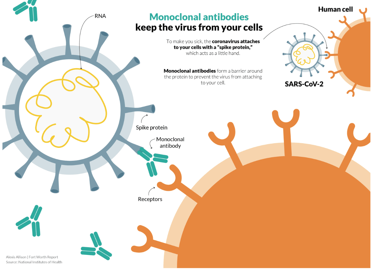 Analysis of the Monoclonal Antibody Pembrolizumab for Treating Cancer ...