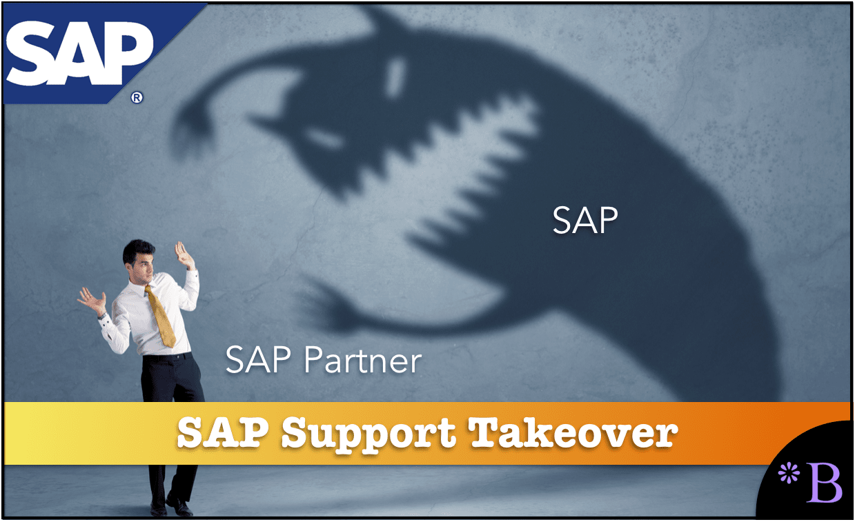 SAP Support Business